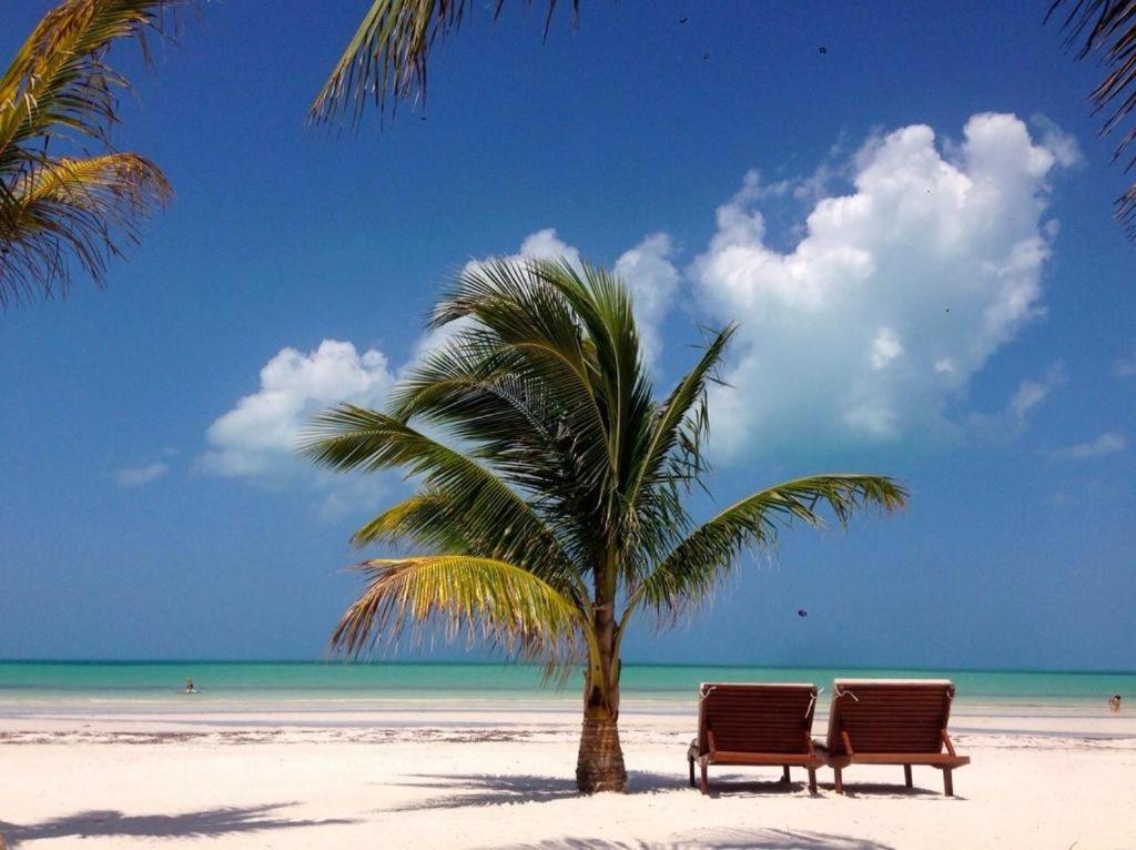 El Corazon Boutique Hotel - Adults Only With Beach Club Pass Included Isla Holbox Екстериор снимка